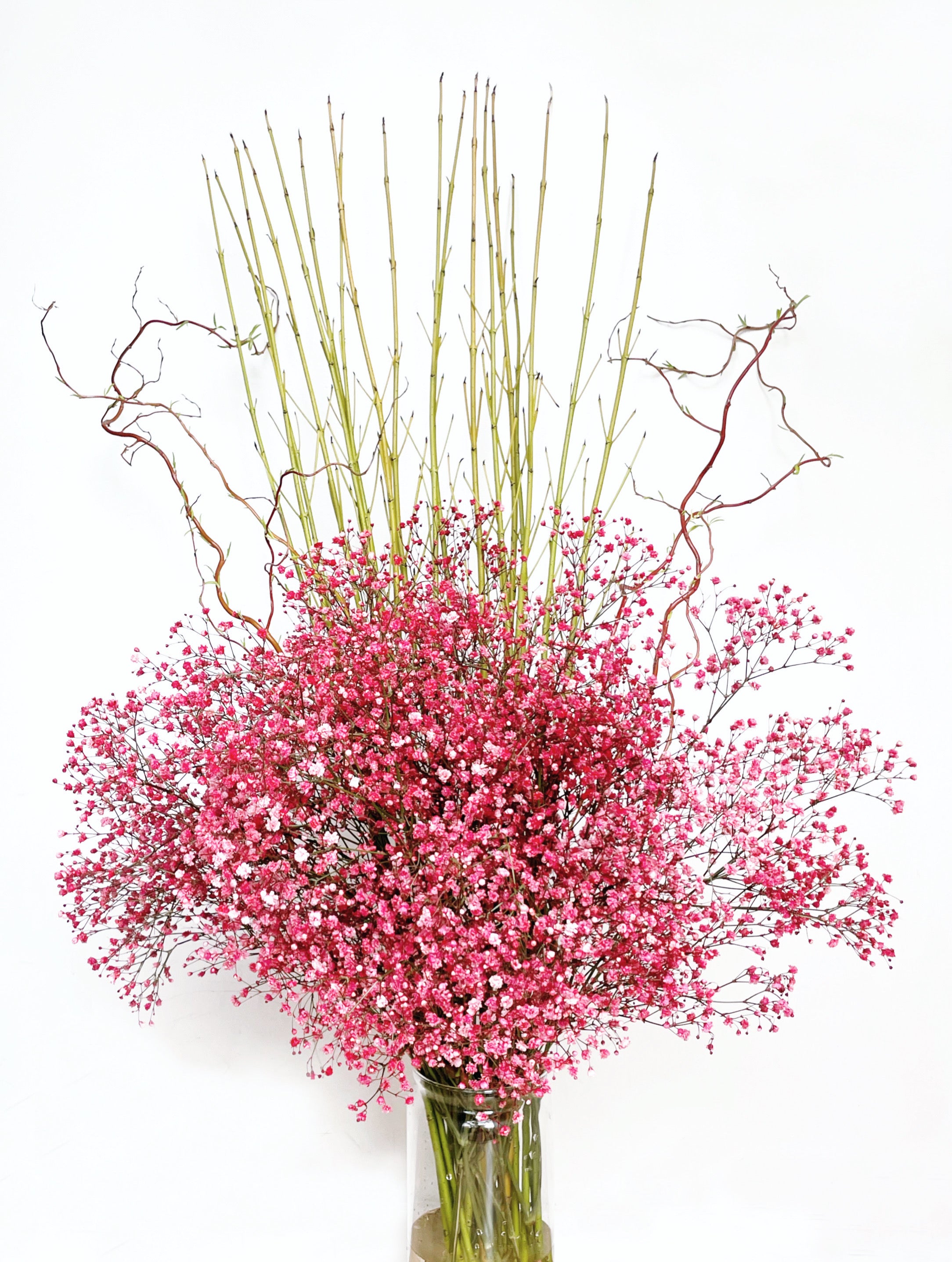 FLORIANA - Contemporary Botanical Statement